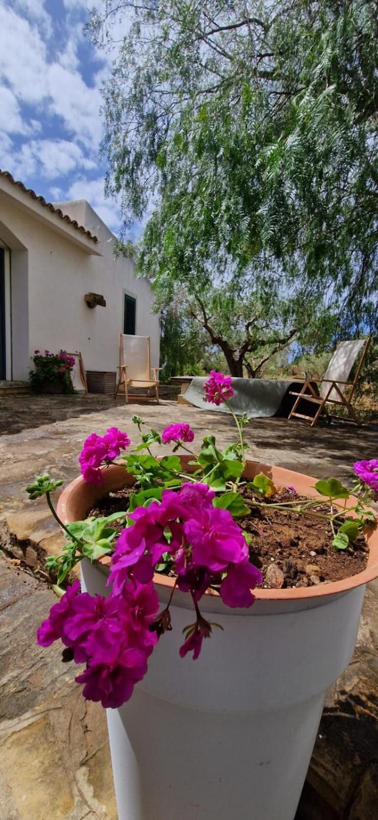 Villa Casa Ibiscus Marsala Exterior foto